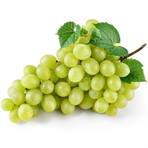 Fancy Green Seedless Grapes