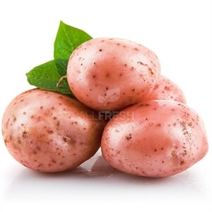 Potato Red