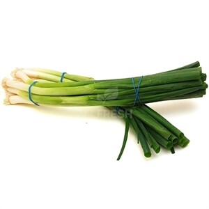 Scallions