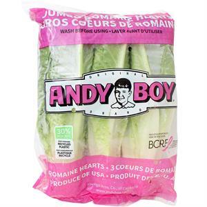Andy Boy Romaine Hearts Lettuce, 3 Pack 24.2 Oz