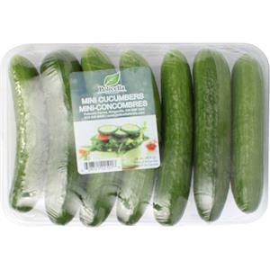 Cucumber Cello Persian 1 Lb 14 Oz