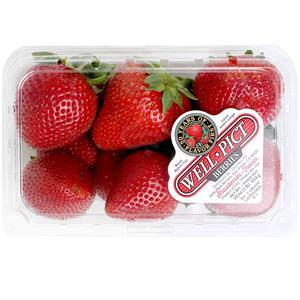Strawberries Container, 16 Oz